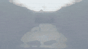 GIF by Company XIV