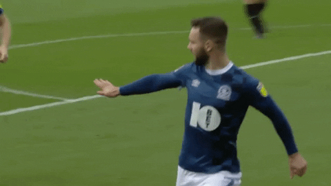 Angel Of The North Celebration GIF by Blackburn Rovers