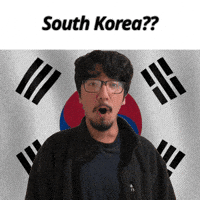 South Korea GIF