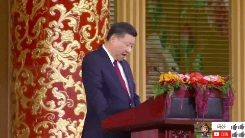 zheng zhi GIF