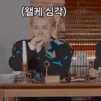 Stray Kids Chris GIF