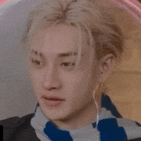 Stray Kids Chris GIF