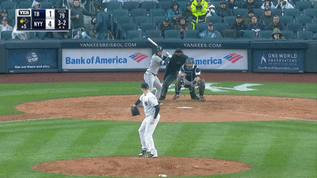 talkin yanks GIF