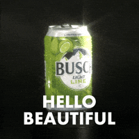 Busch Light GIF by Busch Beer
