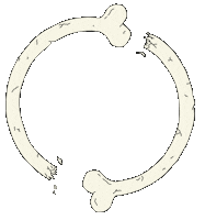 Skeleton Bones Sticker by Peter Bjorn and John