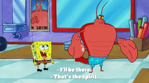 season 9 GIF by SpongeBob SquarePants