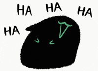 Cat 大笑 GIF