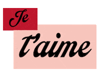 Amour Love Sticker by Bons baisers de Paname