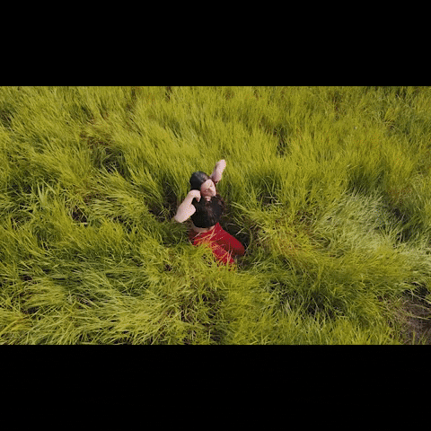 walkingdist giphygifmaker GIF