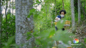 Birds Set Free in Thailand | Endangered