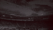 Afas Stadion Goal GIF by AZ Alkmaar