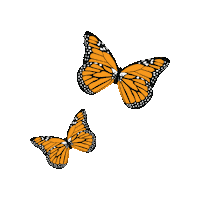 Butterfly Sticker by The Toledo Zoo