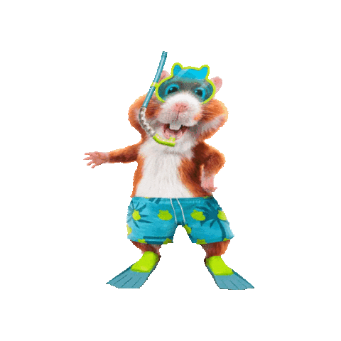 Ahdokkumhamster Sticker by Albert Heijn Dokkum