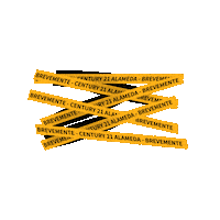 C21 Century21 Sticker by Century 21 Alameda