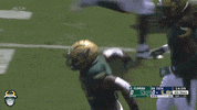 Usf Football GIF by SoFloBulls
