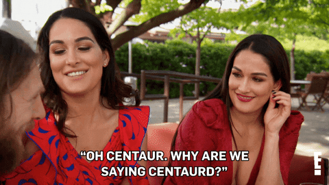 nikki bella GIF by E!