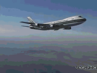 toilet airplanes GIF by Cheezburger
