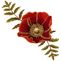 Amapola Datura Sticker