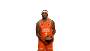 Liga Endesa Basketball Sticker by ACB