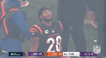 National Football League GIF by NFL
