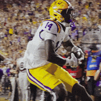 Lsu Football Touchdown GIF by LSU Tigers