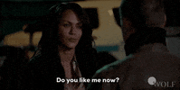 Dick Wolf Friends GIF by Wolf Entertainment