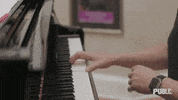 GIF by The Public Theater