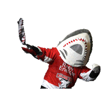 Goal Celebrate Sticker by Koelner Haie