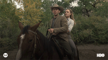 GIF by Westworld HBO