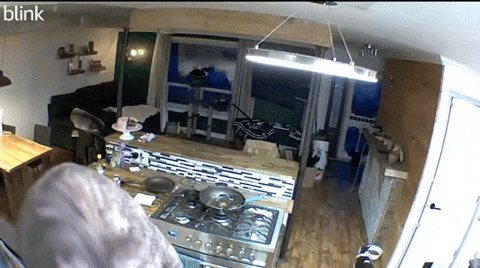 cuteanimalland giphyupload GIF