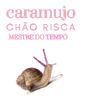 Tempo Chao Sticker by Multiverso do Gnomo Nhyin