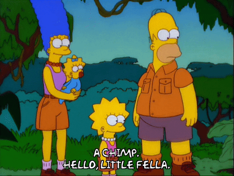 homer simpson GIF