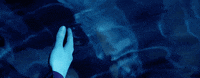 hercules & love affair GIF by Big Beat Records