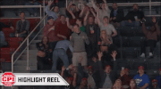 happy dance GIF by Charlotte Checkers