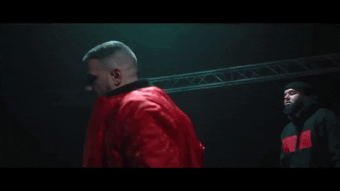 LivHema giphygifmaker deutschrap bushido GIF