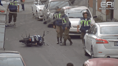thief steal GIF