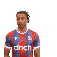 Premier League Sport Sticker by Crystal Palace Football Club