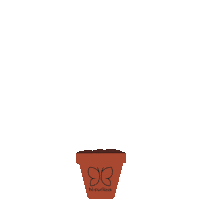 Happy Plant Sticker by HiCurious