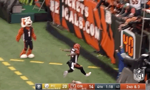2018 Nfl Football GIF by NFL