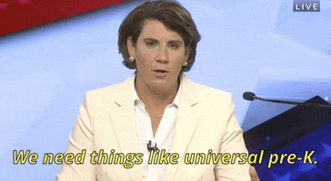 Amy Mcgrath GIF by Election 2020