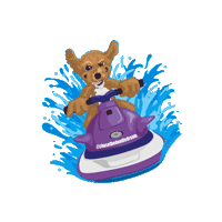 Test Chase Sticker by Doggygraphics