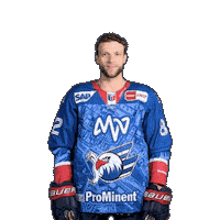 Hayden Shaw Sticker by Adler Mannheim