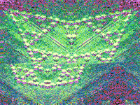 GIF by Leo Pyrata