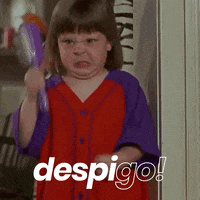despigo fiesta despedida soltera soltero GIF