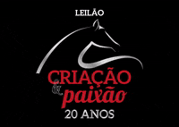 Leilao 20Anos GIF by integralmix