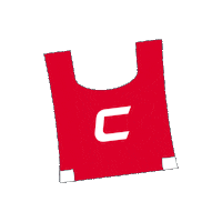 southcoastblaze blaze netball bib centre Sticker