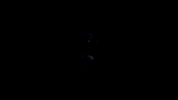 memphis stripeup GIF