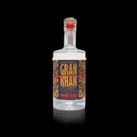 Marco Polo Gin GIF by Distilleria Brunello 1840