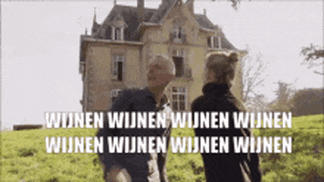 MarketingTransportingWheels chateau meiland martien meiland wijnen half 12 GIF