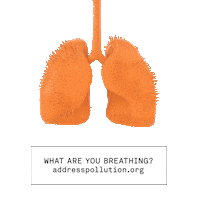 Real Estate Uk Sticker by Address Pollution